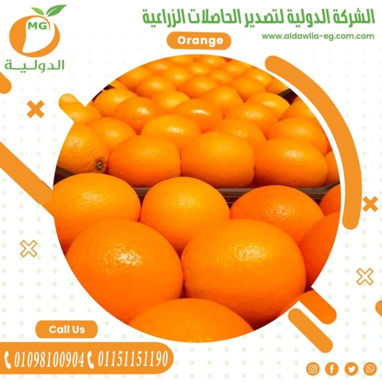 برتقال - صورة 1